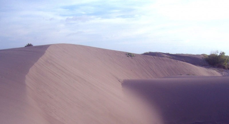 10 Keunikan Pantai Parangtritis Yogyakarta Yang Sangat Menakjubkan (Update 2025) Pantai Parang tritis