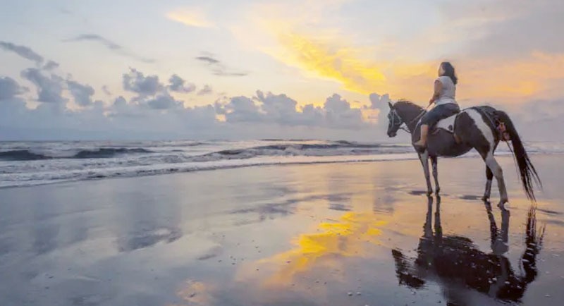 10 Keunikan Pantai Parangtritis Yogyakarta Yang Sangat Menakjubkan (Update 2025) Pantai Parangtritis