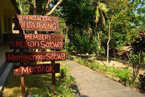 6 Tips Traveling Aman Setelah Pandemi Mematuhi Aturan Yang ada