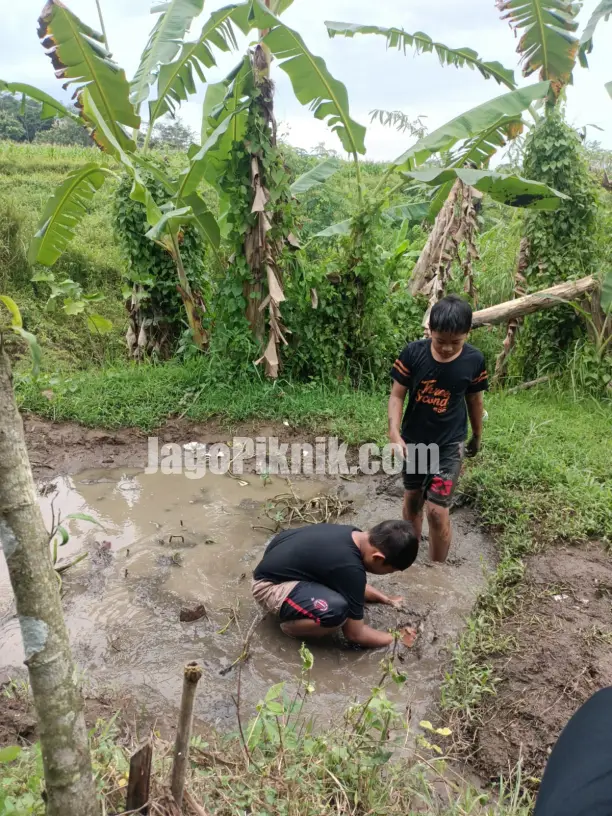 "Musawa Royal Stables" Paket Berkuda Murah 50Ribu Dapat Semua Main Lumpur di Musawa Royal Stables