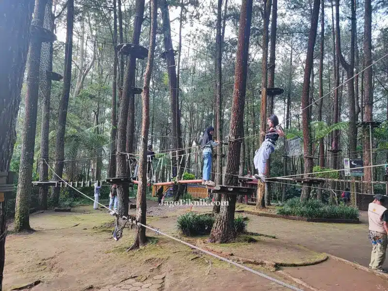 outbond Kopeng Treetop Adventure Park Semarang