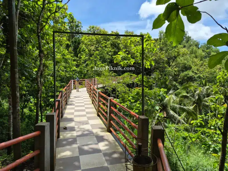 Harga Tiket Masuk dan Wisata Goa Gong Pacitan 2026 Jalan pintu masuk goa gong pacitan